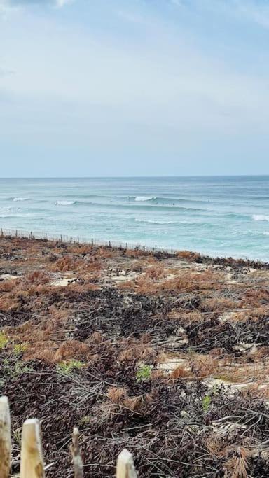 Appartement 2 A 4 Personnes A 50M De La Plage ラカノー エクステリア 写真