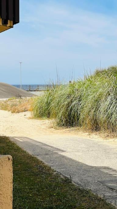 Appartement 2 A 4 Personnes A 50M De La Plage ラカノー エクステリア 写真
